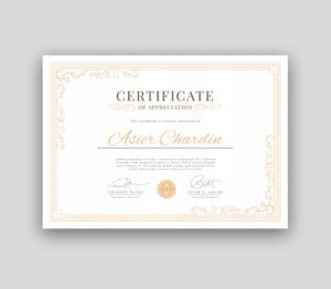 Elegant A4 certificate of appreciation print, professional design, custom text, ideal for awards & recognition